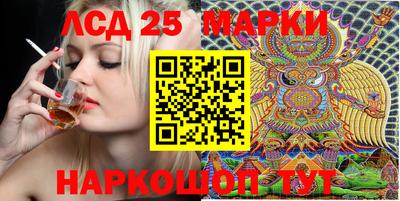 шишки Кимры