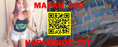 шишки Кимры