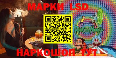 шишки Кимры