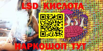 кокс Кингисепп