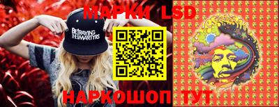 шишки Кимры
