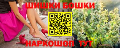 кокс Кингисепп