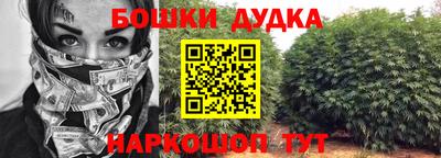 шишки Кимры