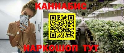 шишки Кимры