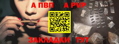 кокс Кингисепп