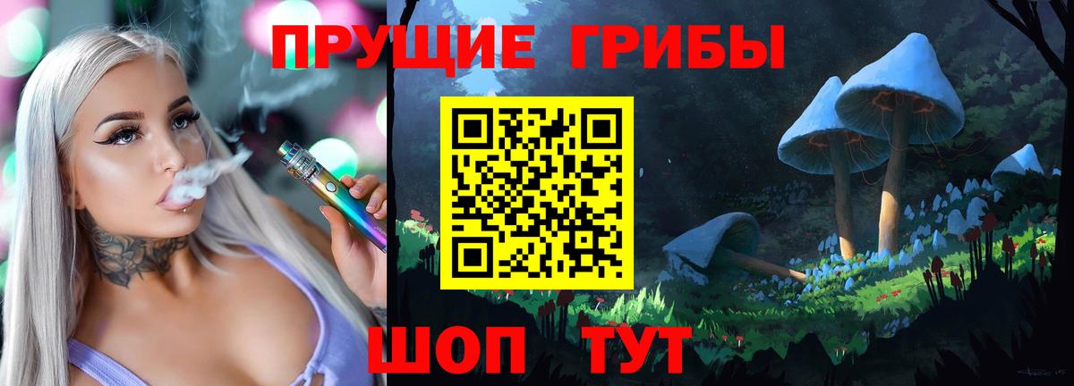 Галлюциногенные грибы Psilocybe Благовещенск